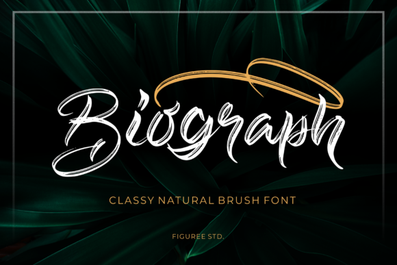 Biograph: The Casual Brush Font for Authentic Marketing