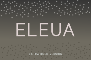 Eleua Extra Bold: A Sans Serif Font for Distinctive Campaign Graphics