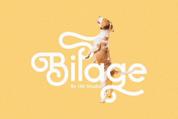 Using the Bilage Handwritten Font in Modern Web Design